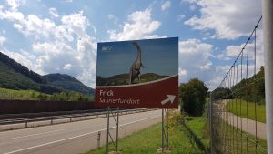 Saurier aus dem Fricktal