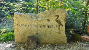 Torfmoos, Vogelrüti