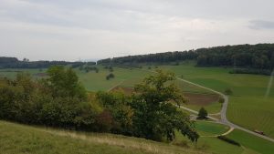 Blick vom Besseberg hinüber zum Rotberg