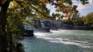 Bei Schinznach-Bad an der Aare