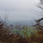 Blick über das Schinznacherfeld nach Schinznach-Dorf hinüber