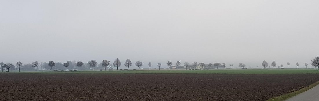 Nebel im Birrfeld