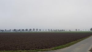 Nebel im Birrfeld