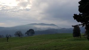 Blick von Vierlinden hinüber zur Linner Linde