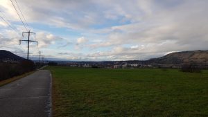 Blick Rheintal abwärts