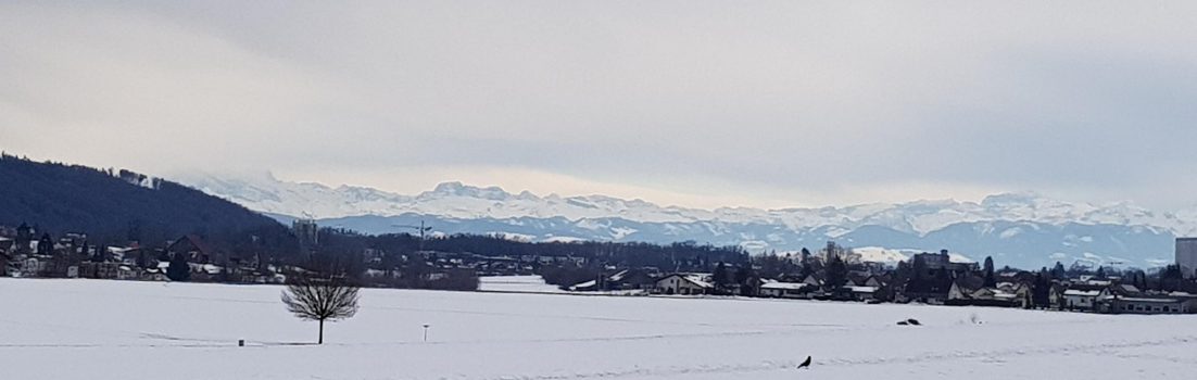 Blick zu den Alpen