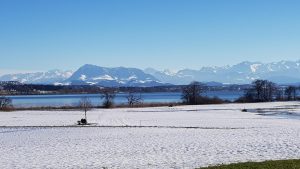Baldeggersee und Alpenpanorama