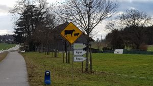 Fast wie Australien, oder doch Afrika