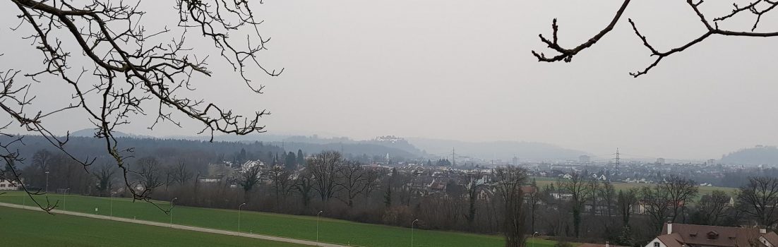 Blick zum Schloss Lenzburg