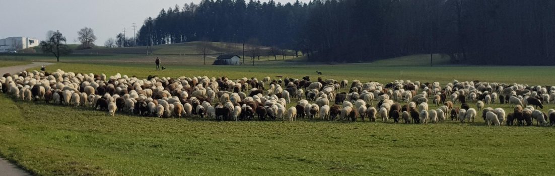 Limmat-Reuss-Bünz-Aabach-Aare