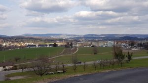 Blick in Richtung Neeracherried
