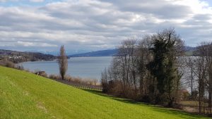 Hallwilersee, mit Blick nach Süden
