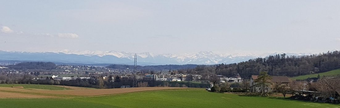 Blick zu den Alpen, Nähe von Steinmaur / Dielsdorf