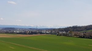 Blick zu den Alpen, Nähe von Steinmaur / Dielsdorf