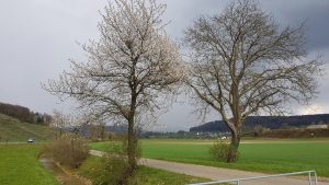 Der Regen kommt näher