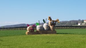 Abstimmung von 13.06. über die Agrarinitiativen