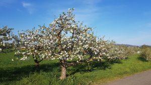 Abendliche Hausrunde