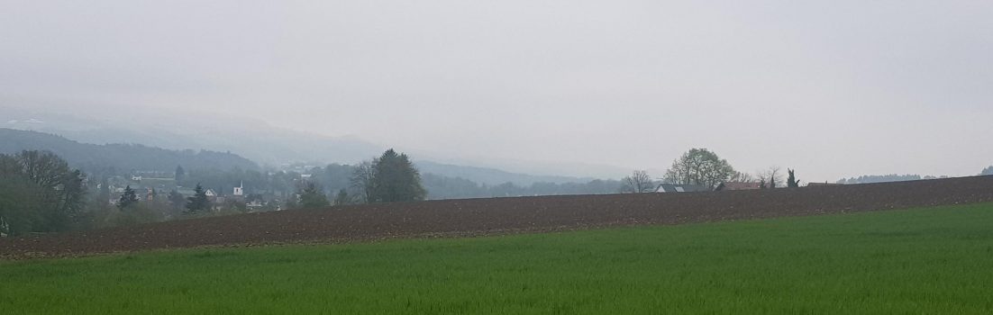 Nach Niederwil und zurück