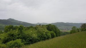 Blick zum Jura hinüber