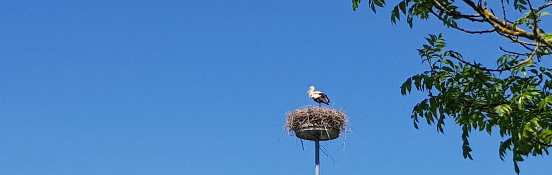 Reusstal – Bünztal