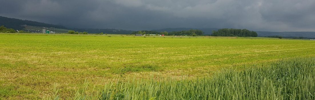 Zwischen den Gewittern