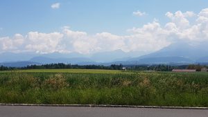 Blick zu den Alpen, zwischen Seetal und Suhrental