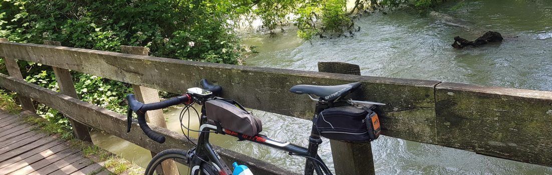 Schnitzeljagd der Aare entlang