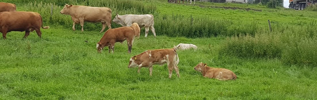 Schnitzeljagd am Montag
