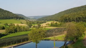 Von Ueberthal nach Remigen