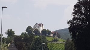 Schloss Wildegg