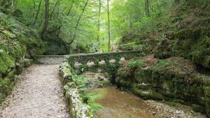 Wanderweg in der Verenaschlucht