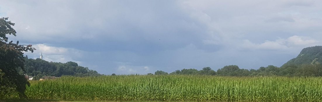 Schwarze Wolken über dem unteren Aaretal