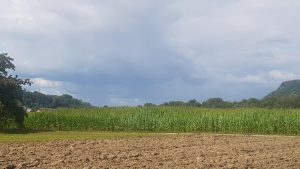 Schwarze Wolken über dem unteren Aaretal