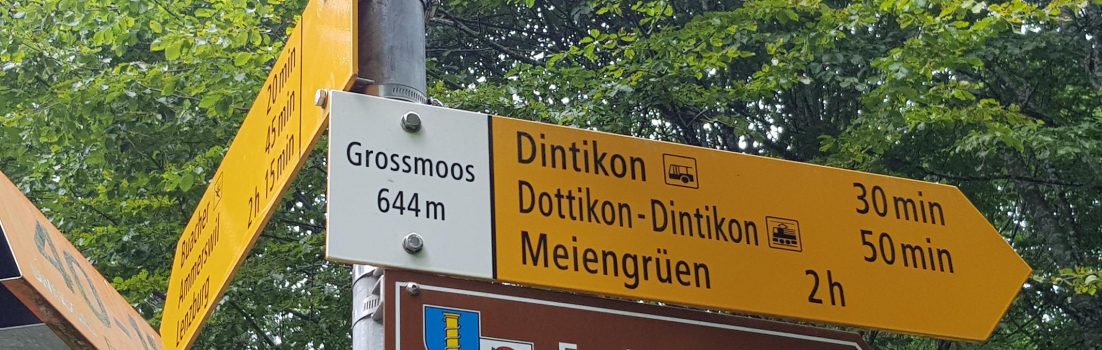 Schnitzeljagd am Dienstag