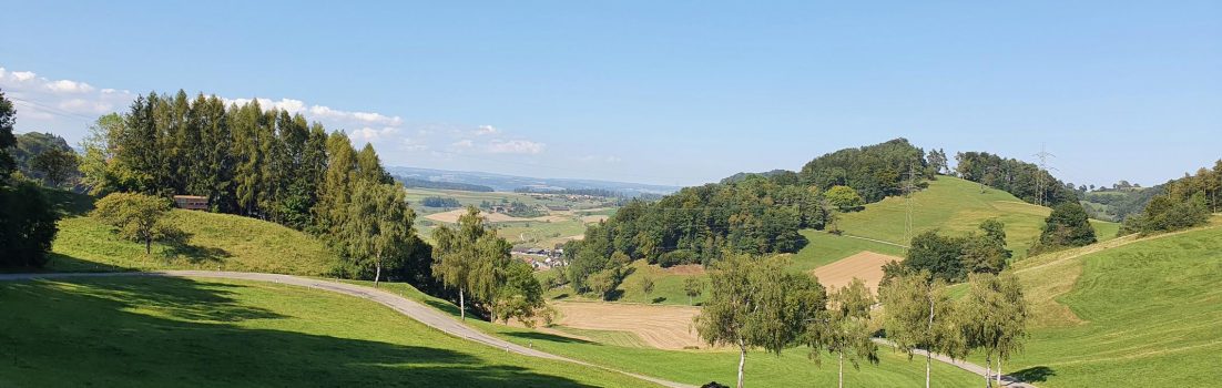 Schnitzeljagd am Mittwoch