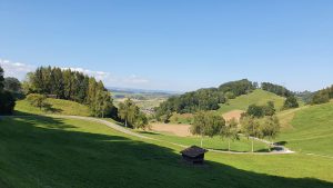 Abfahrt von der Bürensteig nach Hottwil