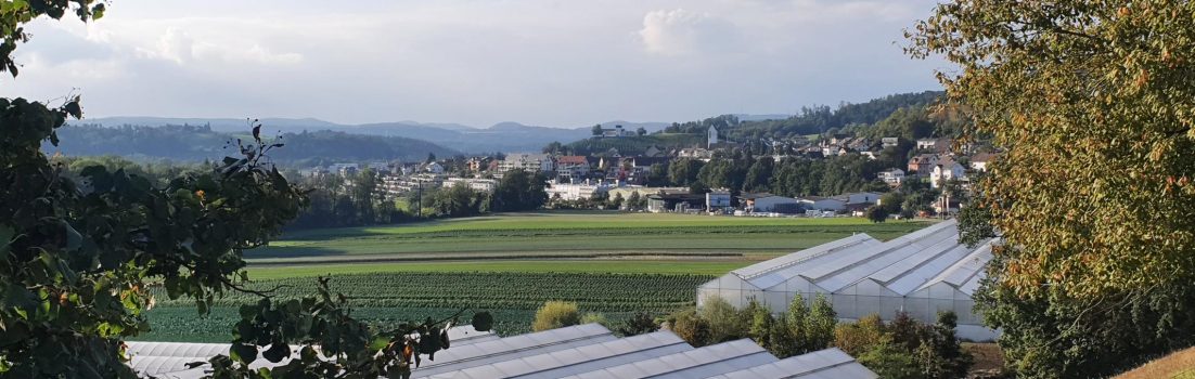 Birrfeld und Reusstal