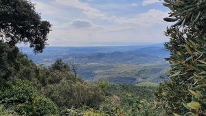 Aussicht von La Mussara