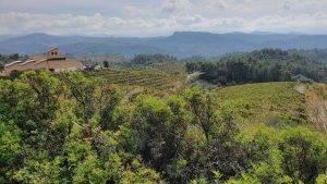 Zwischen el Loar und el Molar