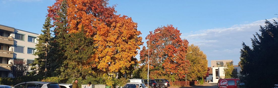 farbiger Herbst