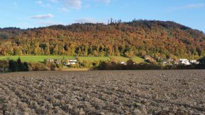 Herbst im Surbtal