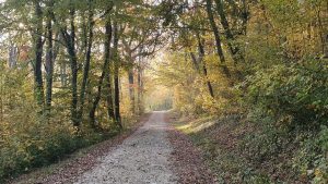 Herbst auf dem Rotberg