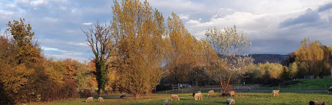 Abendstimmung im Aaretal