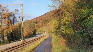 Radweg dem Rhein entlang