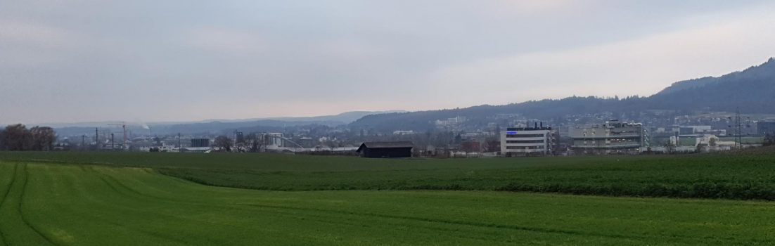 Stein / Rheintal