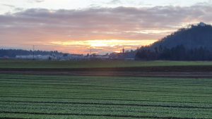 Abendrot über Brunegg