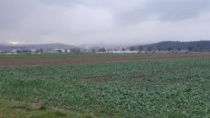 Schneeregen über dem Jura