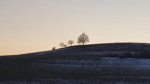 Abendstimmung im Surbtal