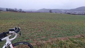 Schinznacherfeld im Regen