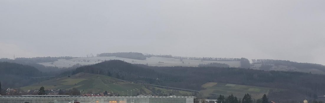 Schnee am Rotberg